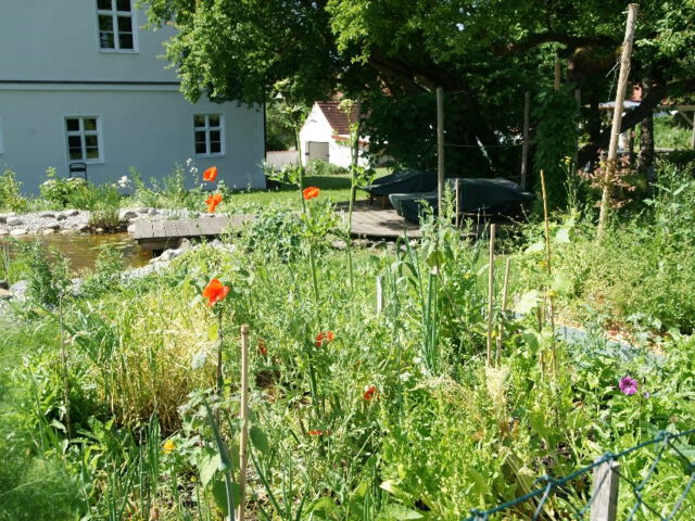 … und so sieht der Bereich 2021 aus: eine Fülle an verschiedensten Pflanzen in einer bunten Mischkultur mit einer Naturteichanlage ….