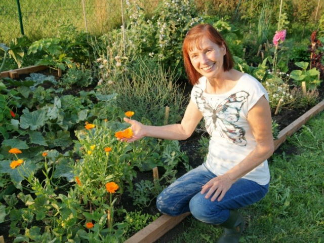 2012: Erste Mischkulturbeete nach Sepp Holzers Permakultur-Konzept sind im nördlichen Schlossgarten entstanden …