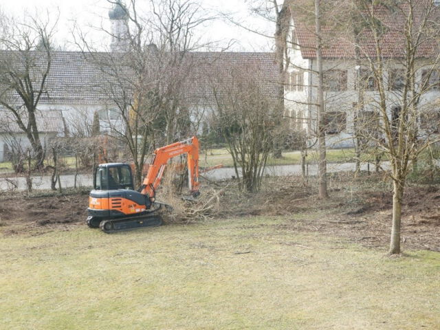 Rodungsaktion der Schlossgarten-Wildnis Anfang 2012